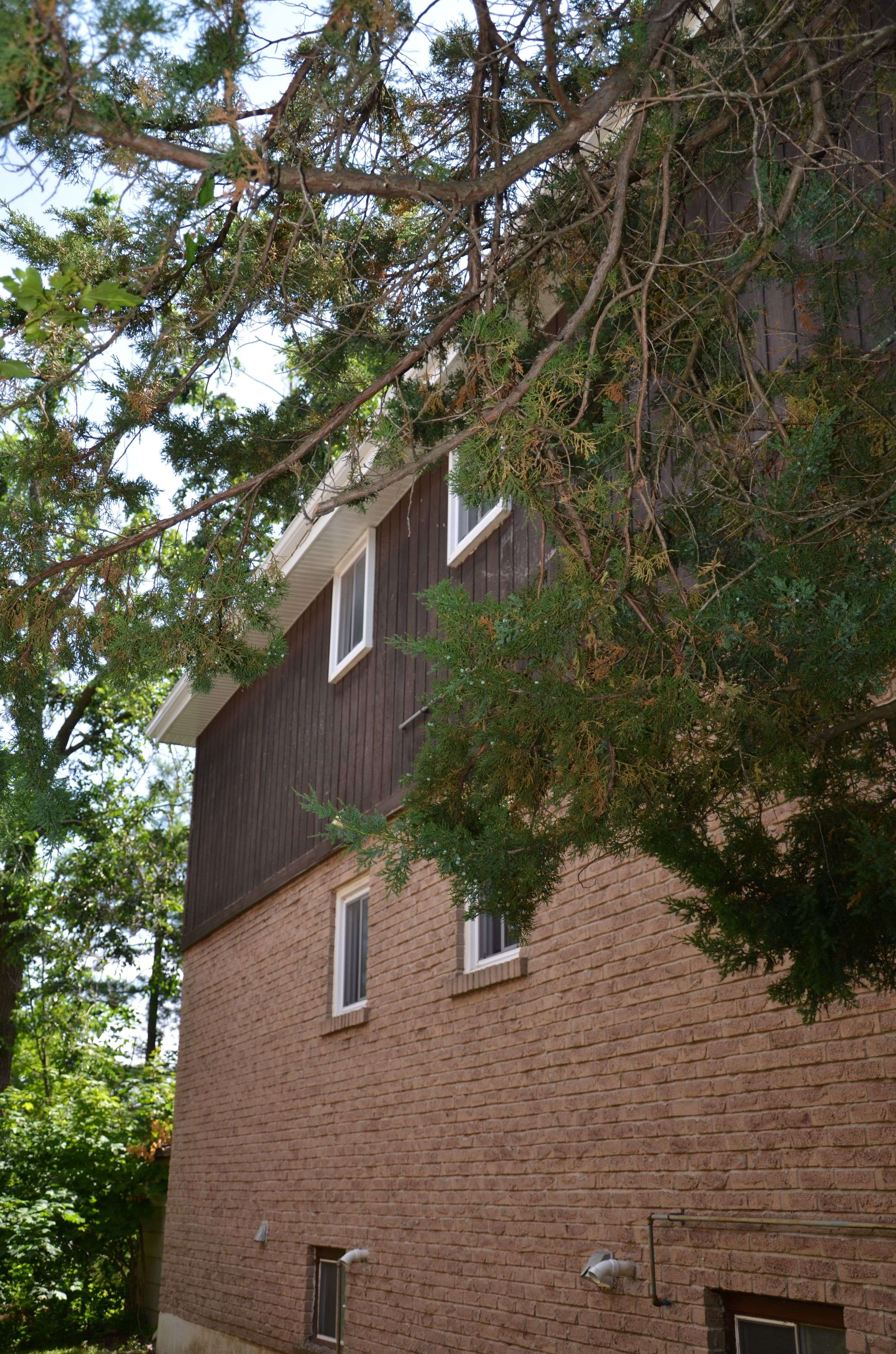 Orillia, ON L3V 6S4,12 King's CT