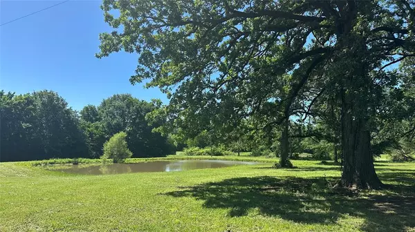 Sumner, TX 75486,10183 Farm Road 38 N