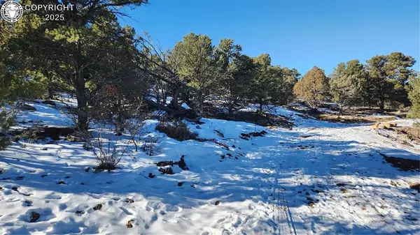 Cotopaxi, CO 81223,TR-82 35th TRL