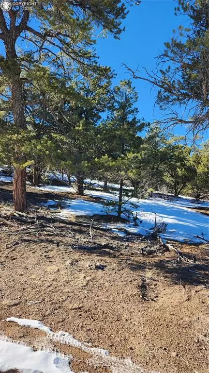 Cotopaxi, CO 81223,TR-82 35th TRL