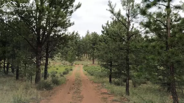 Guffey, CO 80820,3800 Doe Valley RD