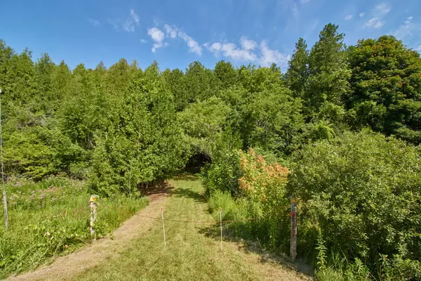 Cavan Monaghan, ON L0A 1G0,732 Zion 4th Line