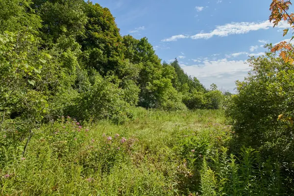 Cavan Monaghan, ON L0A 1G0,732 Zion 4th Line