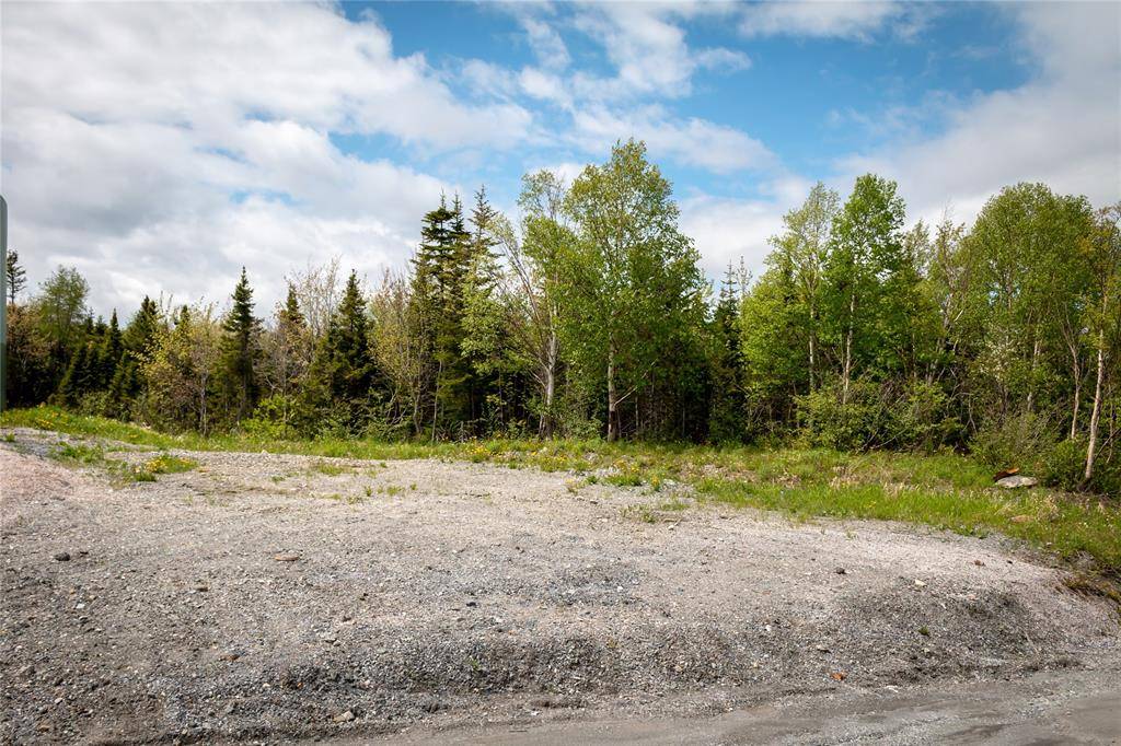 120 Elizabeth Street #PARCEL 045, Corner Brook, NL A2H 6A1