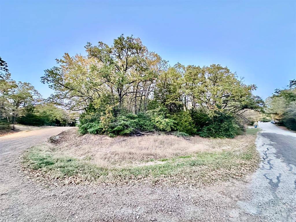 x Nob Hill Road, Gun Barrel City, TX 75156