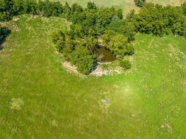 Paris, TX 75462,TBD Farm Road 1184