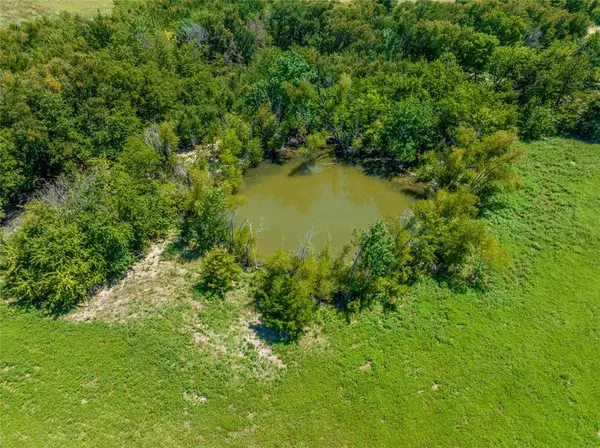 Paris, TX 75462,TBD Farm Road 1184
