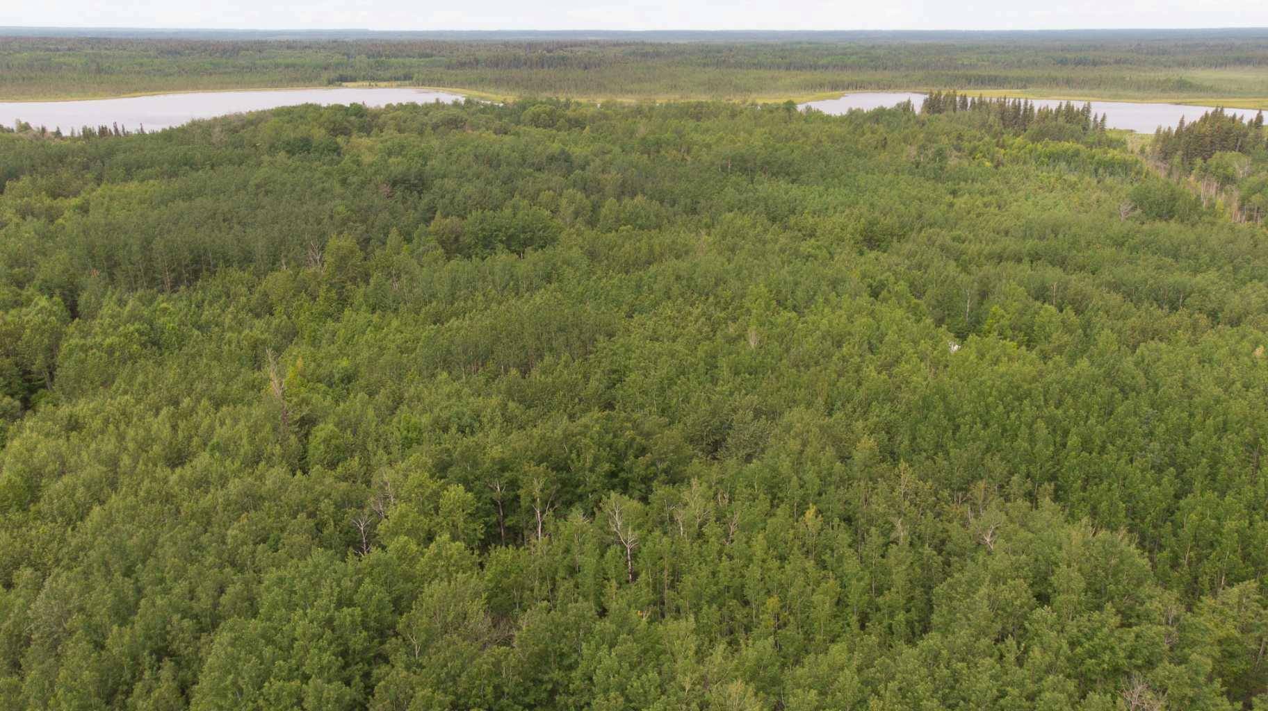 Township Road 694 Range Road 210, Athabasca, AB T9S 2A6