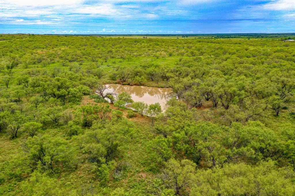 Jacksboro, TX 76458,TBD FM 175