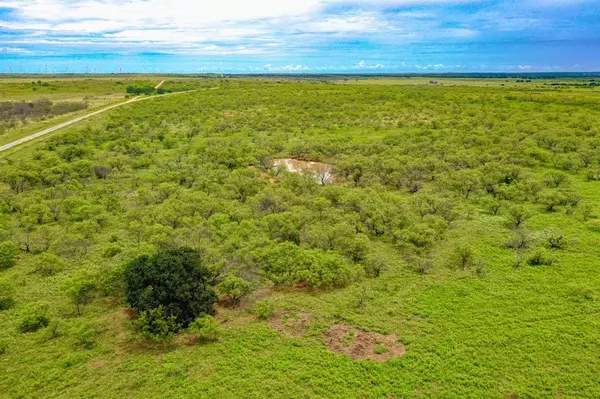Jacksboro, TX 76458,TBD FM 175
