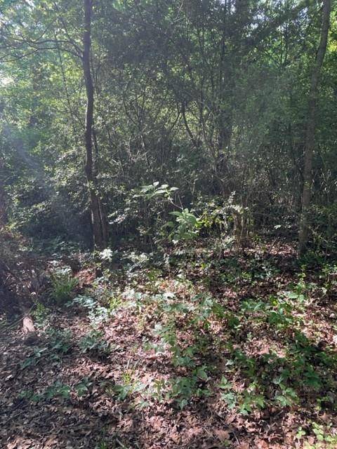 Mabank, TX 75156,108 Trail Glen Drive