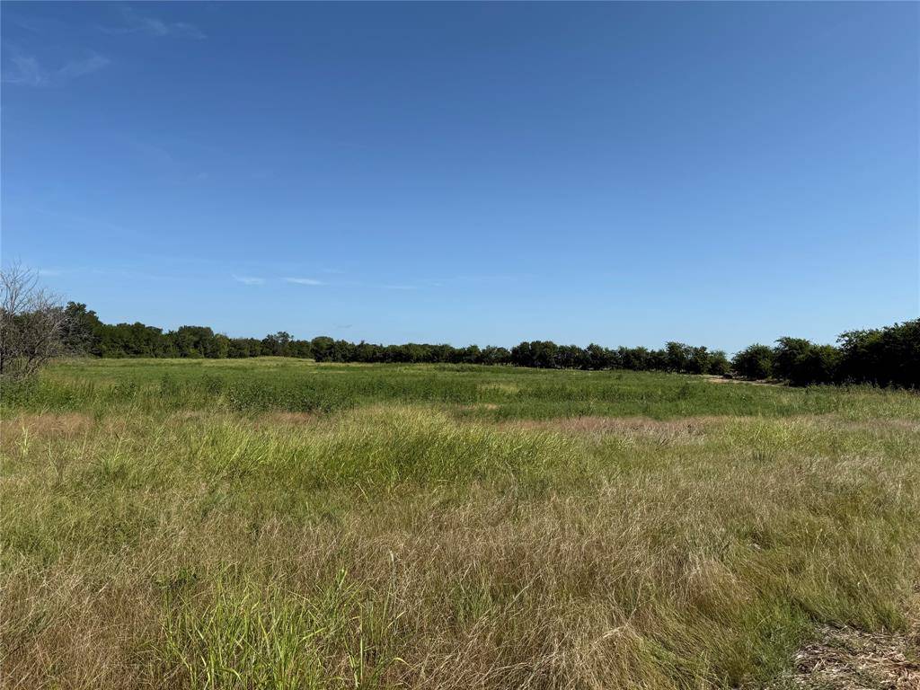 Leonard, TX 75452,Tract 1 County Road 5045