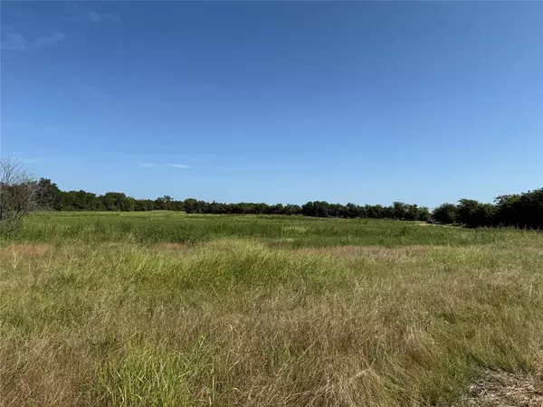 Leonard, TX 75452,Tract 1 County Road 5045