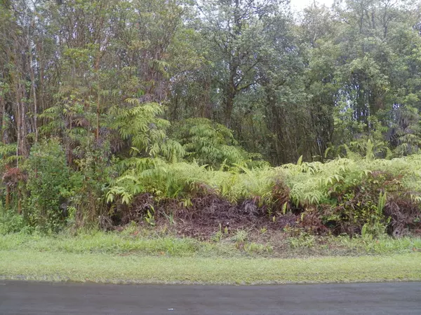 PIKAKE ST, Mountain View, HI 96771