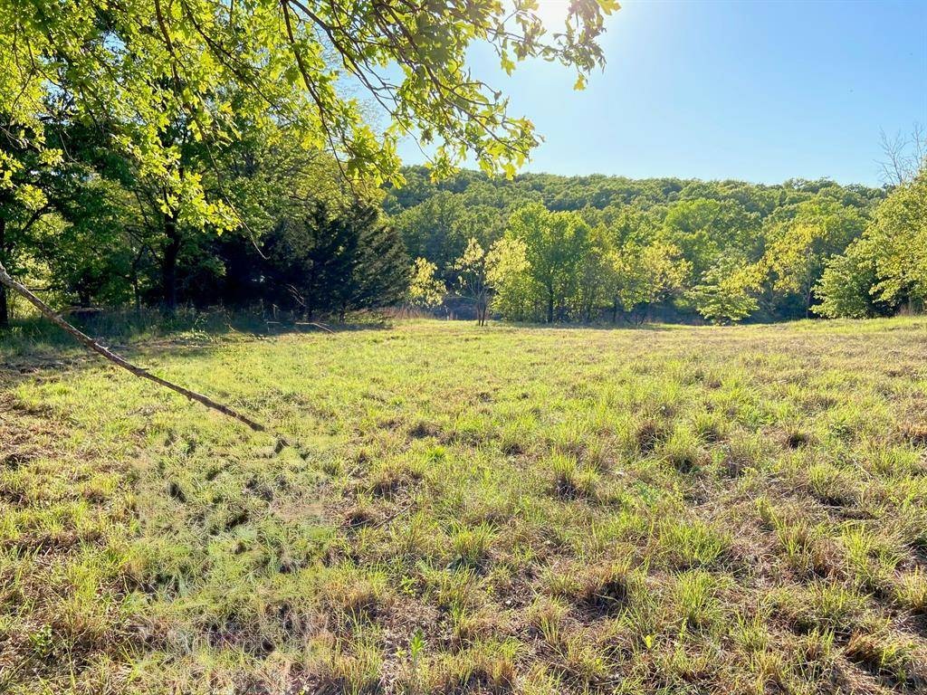 Bowie, TX 76230,Lot 455 Ranchview Court