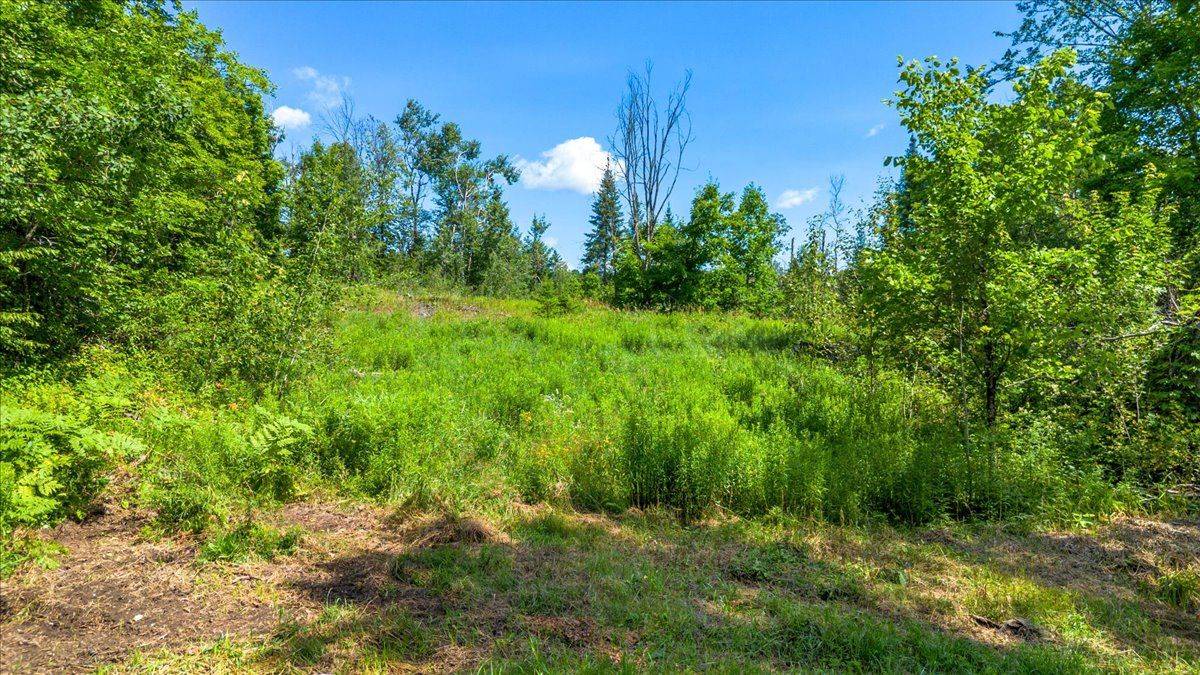 168 Limerick Lake RD, Tudor & Cashel, ON K0L 1W0