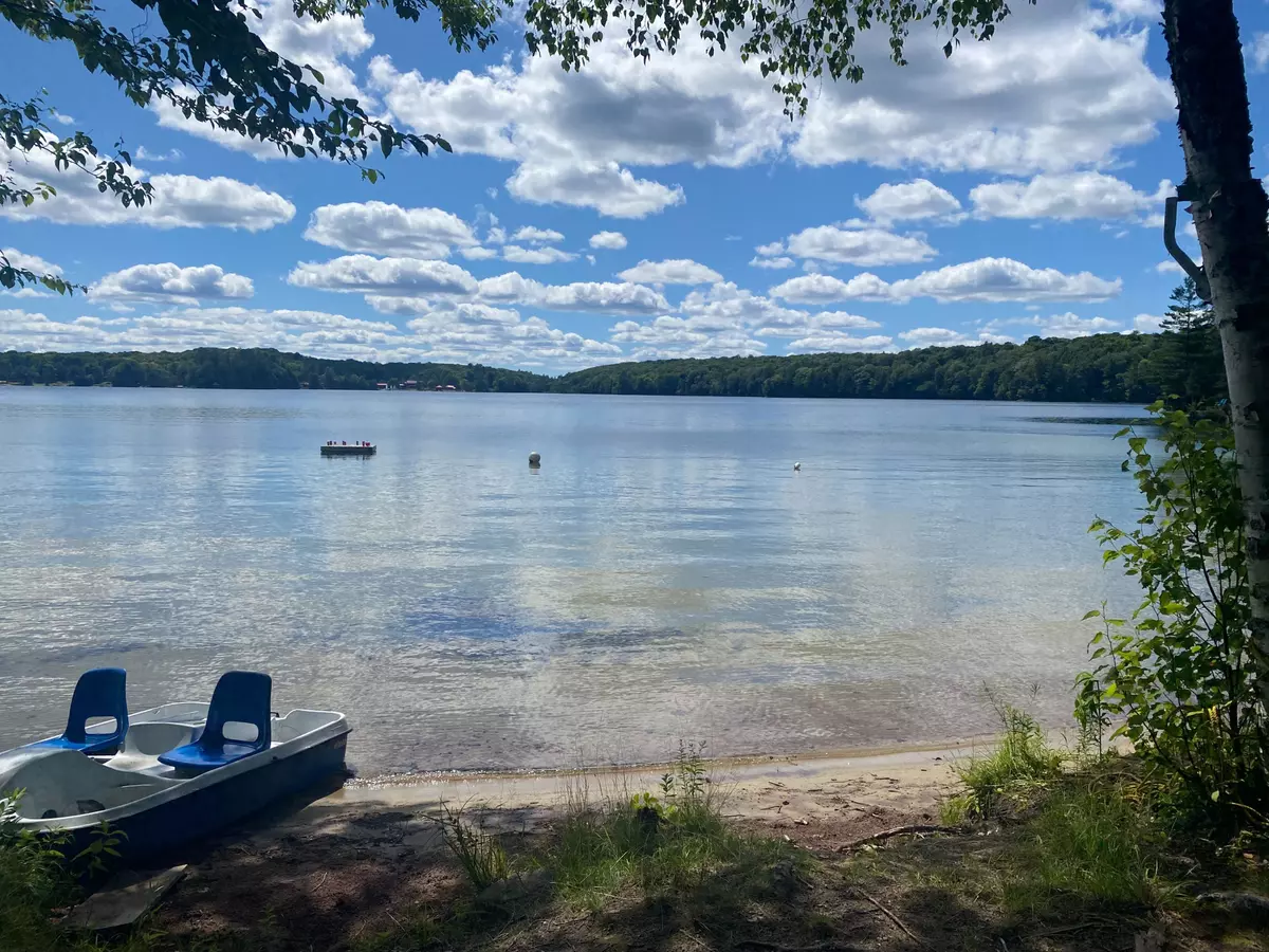 Muskoka Lakes, ON P0B 1M0,1167 Skeleton Lake 5 RD S #Unit 1