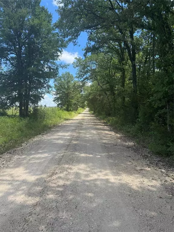 Kerens, TX 75144,TBD LOT 1 County Road 4210