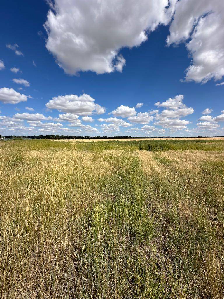 Rural Cypress County, AB T1A0H5,12003 Range Road 60A #Lot 7