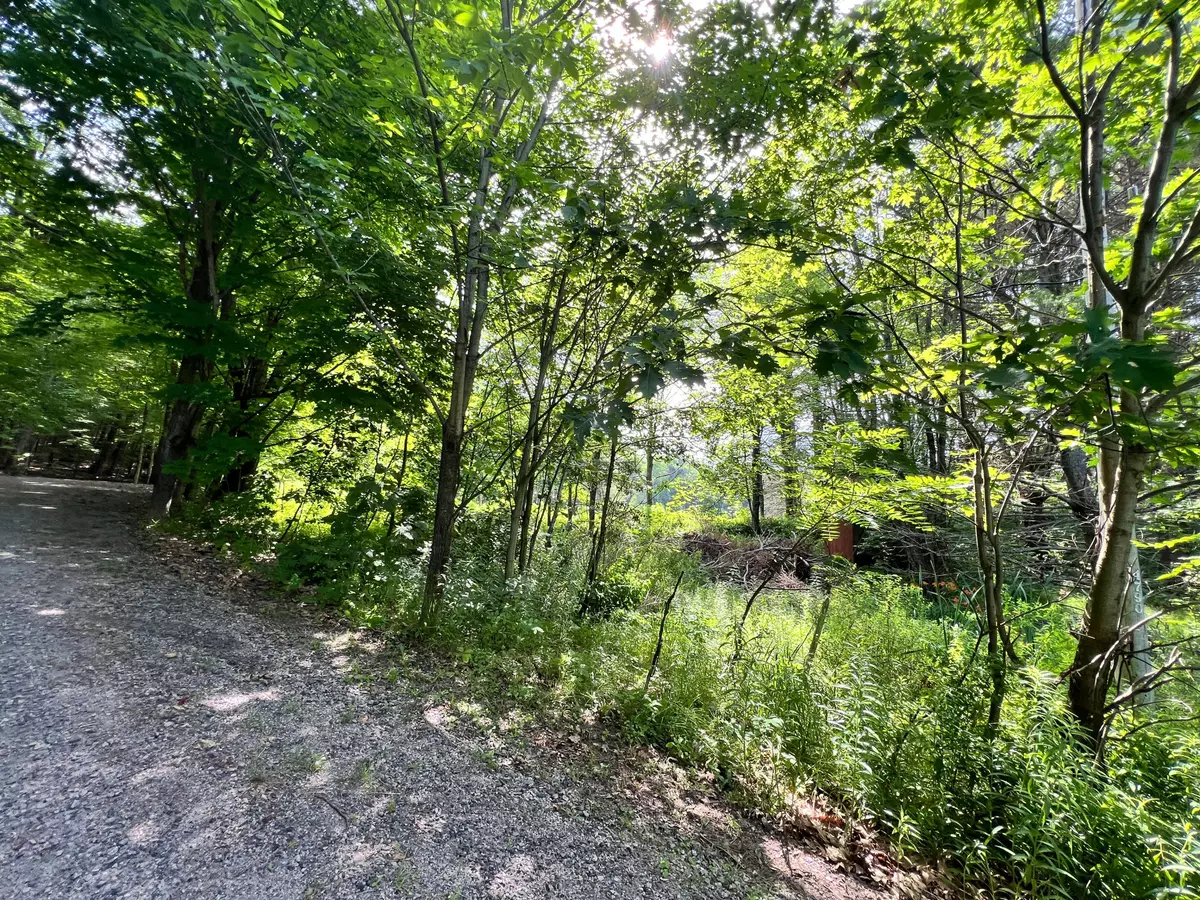 Muskoka Lakes, ON P0B 1M0,0 Village 1 RD