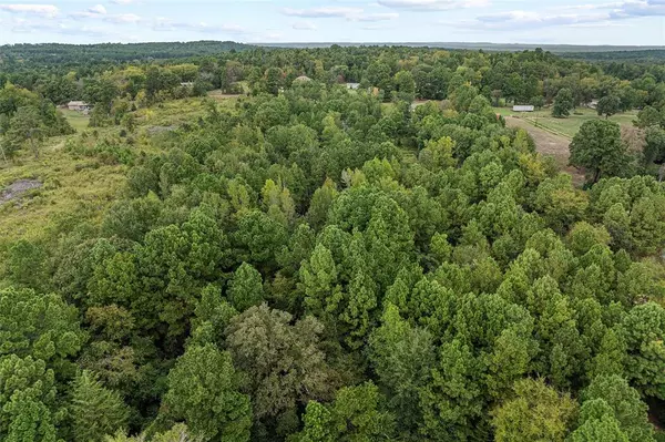 Winona, TX 75792,17410 County Road 366