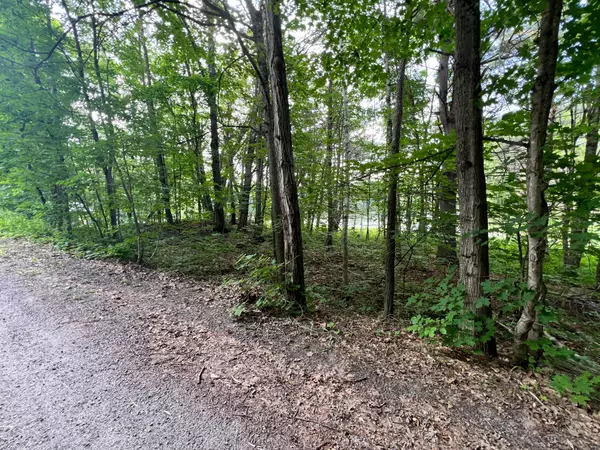 Muskoka Lakes, ON P0B 1M0,0 Village 1 RD