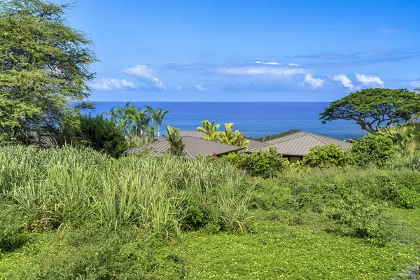 Kealakekua, HI 96750,81-6624 HIAAIONO PL