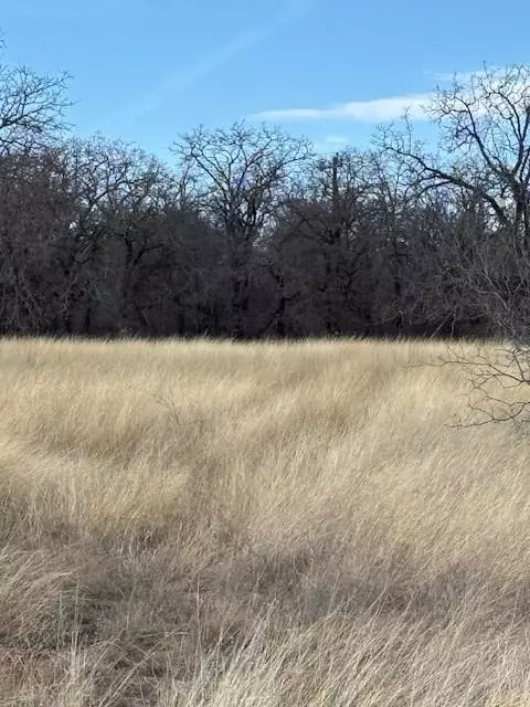 Lipan, TX 76462,TBD Sugartree Circle