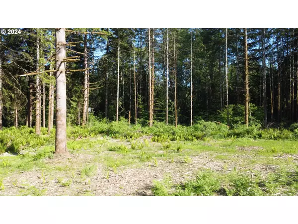 Longview, WA 98632,0 Carlon Loop RD #3
