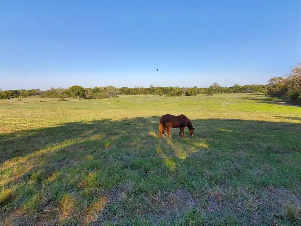 Van Alstyne, TX 75495,1180 Cameron Hill