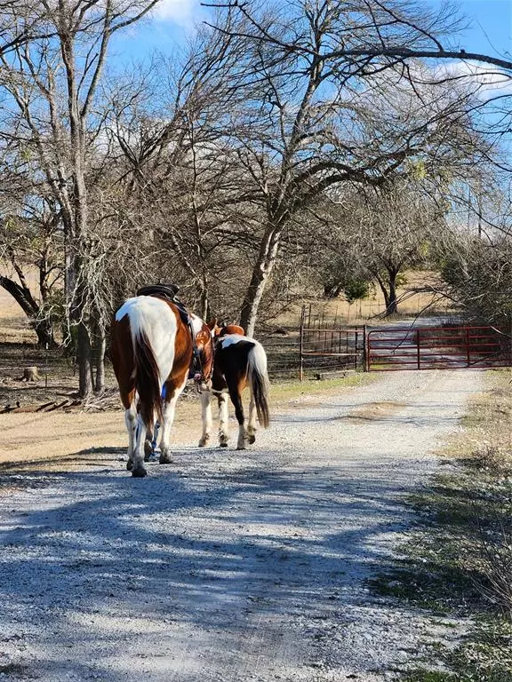 Van Alstyne, TX 75495,1170 Cameron Hill Drive