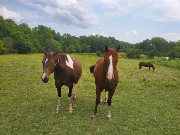 Van Alstyne, TX 75495,1180 Cameron Hill