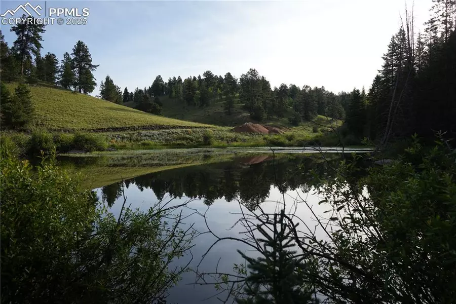 4195 Cedar Mountain RD, Divide, CO 80814