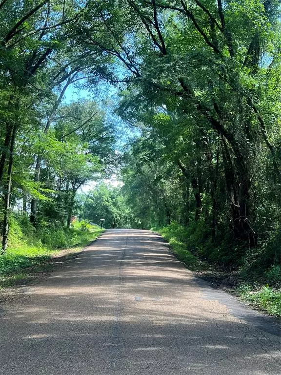 Fruitvale, TX 75127,TBD VZ 1913
