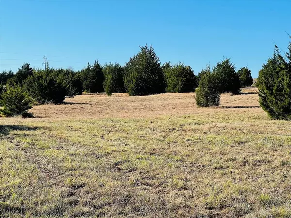 Leonard, TX 75452,15722 County Road 673