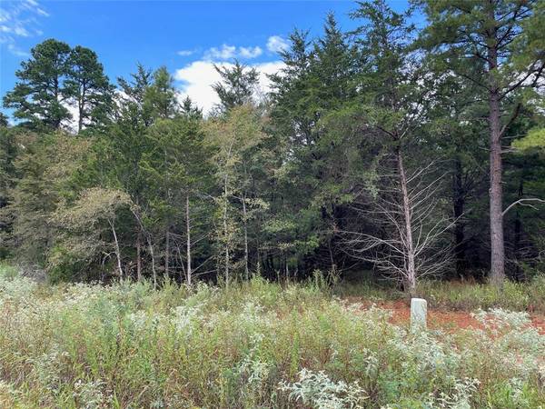 Lot 18 TBD Cedarpark Place,  Lindale,  TX 75771