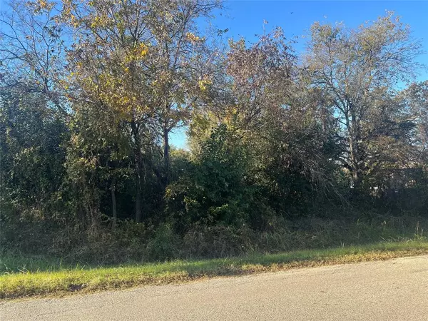 Granbury, TX 76048,3809 HEDGE ROW Street