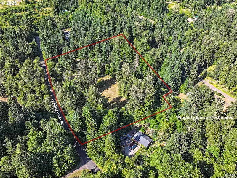 Fern Meadow RD, Stevenson, WA 98648