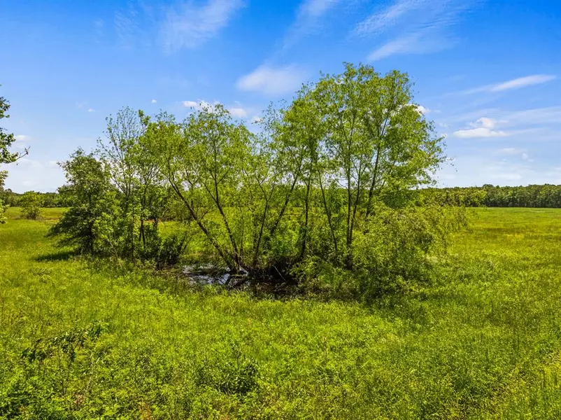 tbd cr 4104/4103 cr 4104, New Boston, TX 75570