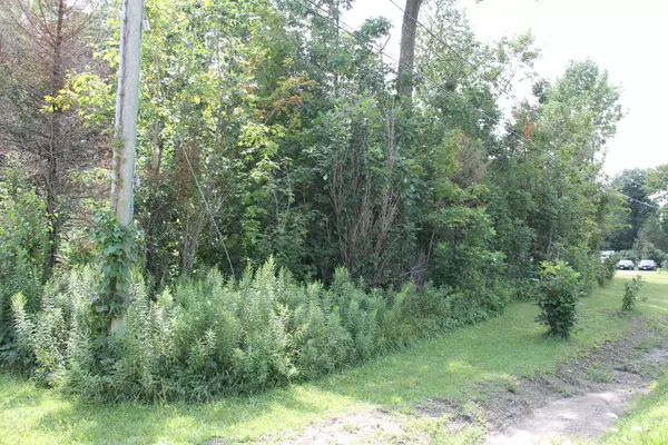 Severn, ON L0K 2B0,9561 11 HWY N