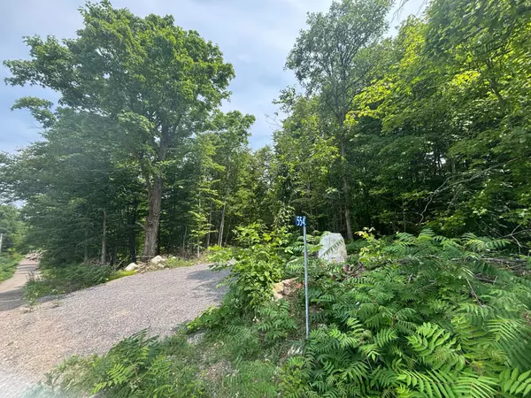 554 Pigden RD #Severed B, Madoc, ON K0K 2K0