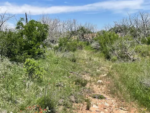 Merkel, TX 79536,TBD 100 acres CR 343