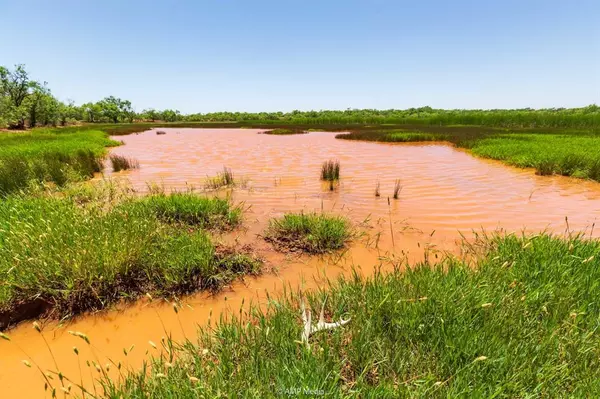 TBD CR 273, Roby, TX 79543
