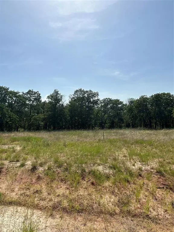 Perrin, TX 76486,00 Stallion Meadows