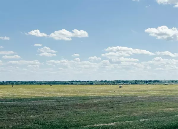Rochelle, TX 76872,TBD 201Acres County Road 419