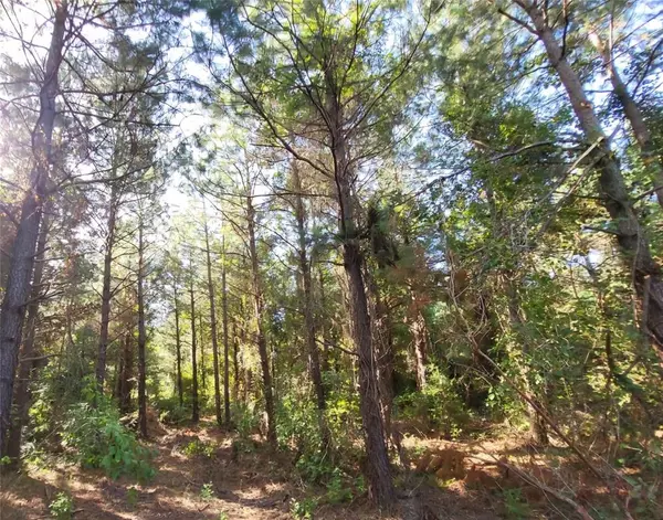 Gloster, LA 71030,000 Jessie Latin Rd