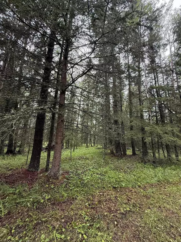 50084 TWP RD 35-0 #43, Rural Clearwater County, AB T0M 1C0