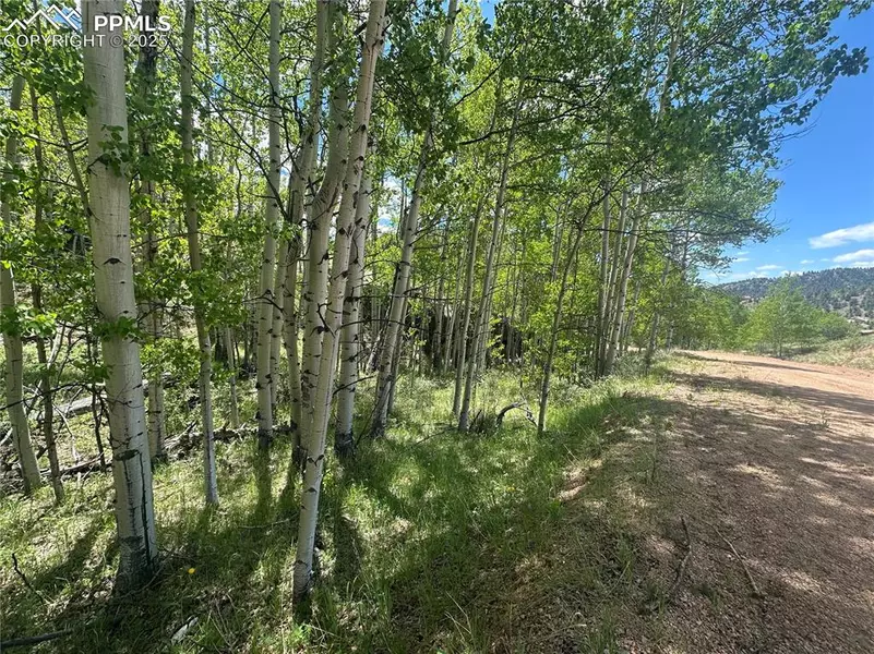 524 Buckhorn RD, Cripple Creek, CO 80813