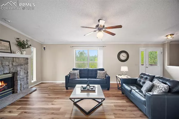 Florissant, CO 80816,693 Kutsu Ridge RD