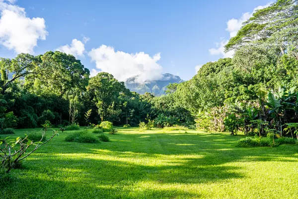 Hanalei, HI 96722,KUHIO HWY